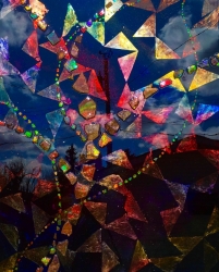 Ammolite Safari